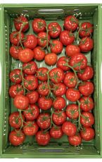 Rispenparadeiser - Tomaten mit Rispe 10 x 6 kg AT