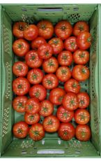 Fleischparadeiser 10 x 8 kg AT