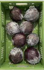 Rotkraut Redmar 12 kg AT