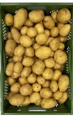 Kartoffeln festkochend
