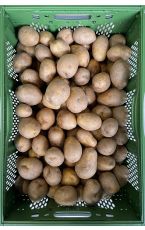 Kartoffeln mehlig