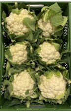 Karfiol - Blumenkohl 6 Stk AT