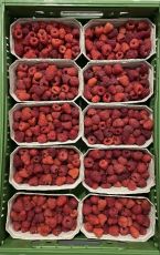 Himbeeren 4 kg AT (Lieferung nur Mittwochs)