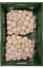 Bio Zwiebel gelb geschält 2 x 5 kg AT