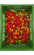 Cocktailparadeiser - Cherrytomaten Mix lose 3 kg AT