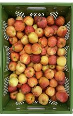 Äpfel rot süß 16 kg 65-75 Kl I AT