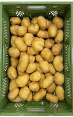 Bio Kartoffeln festkochend 20 kg 72+ Kl I AT