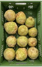 Knollensellerie 5 x 10 kg AT