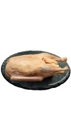 Weidegans bratfertig 1 Stk. à 3 - 5 kg 4xAT
