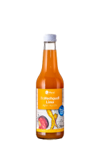 Bio Hochquell Limo Apfel-Karotte 24x0,33 l AT