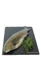 Forelle ganz ausgenommen 200 - 400 g 4xAT