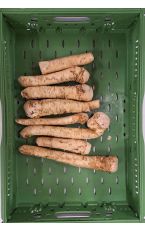 Kren im Ganzen 2 kg AT