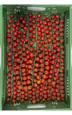 Cocktailparadeiser - Cherrytomaten mit Rispe 3 kg AT