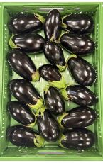 Melanzani - Aubergine 5 kg AT
