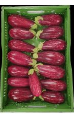 Melanzani - Aubergine gestreift 5 kg AT