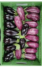 Melanzani - Aubergine Mix 5 kg AT