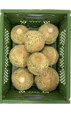 Bio Knollensellerie 5 kg AT