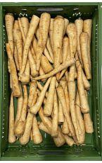 Bio Peterwurzen 10 kg AT
