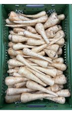 Bio Pastinaken 10 kg AT